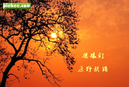 朗诵,《婆娘们》配乐诵读,朗诵,原野